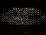 BBS Signature