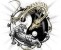 BBS Signature