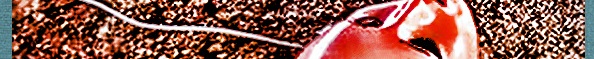 BBS Signature