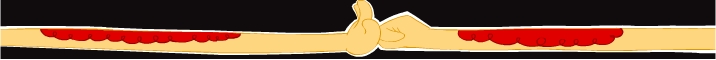BBS Signature