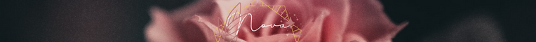 BBS Signature