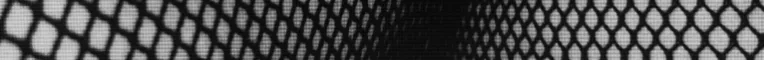 BBS Signature