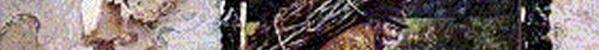 BBS Signature